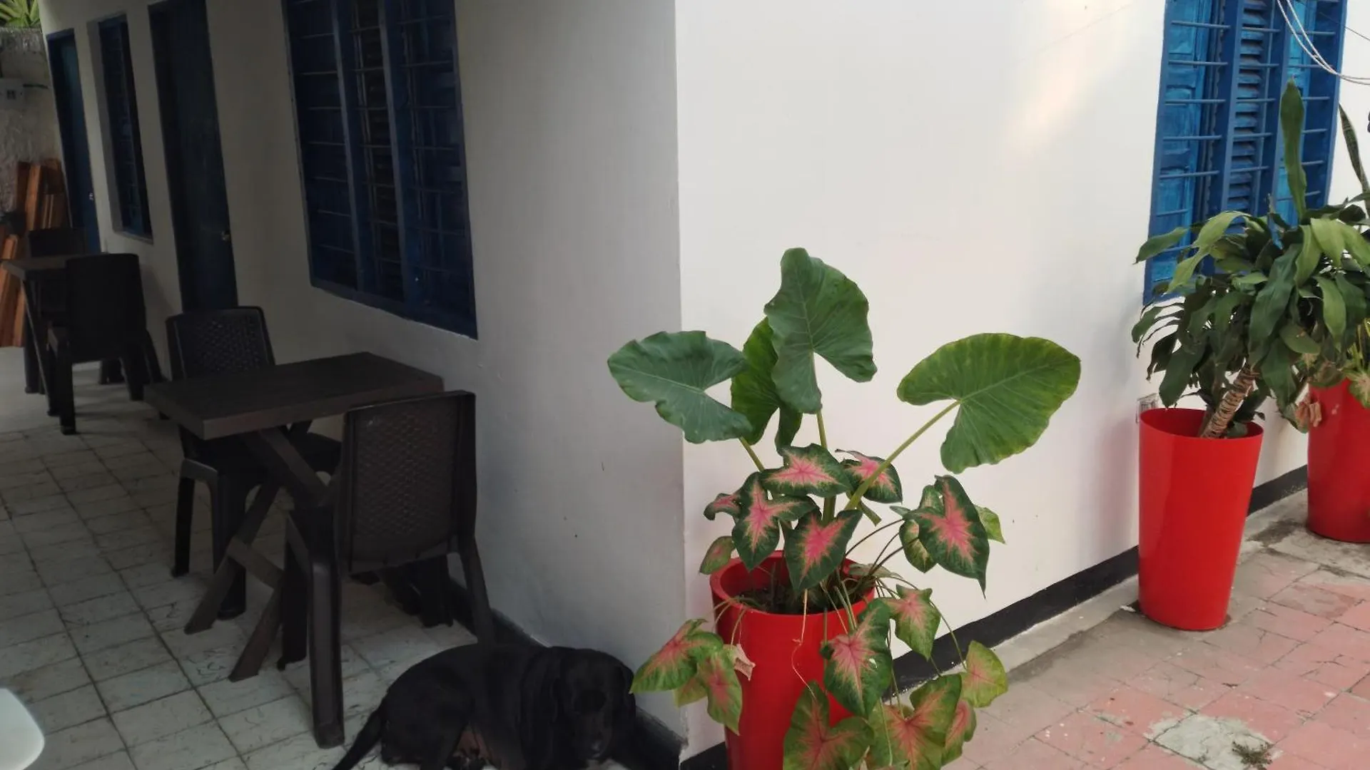 Guest house Belcanto Room'S Cartagena Colombia